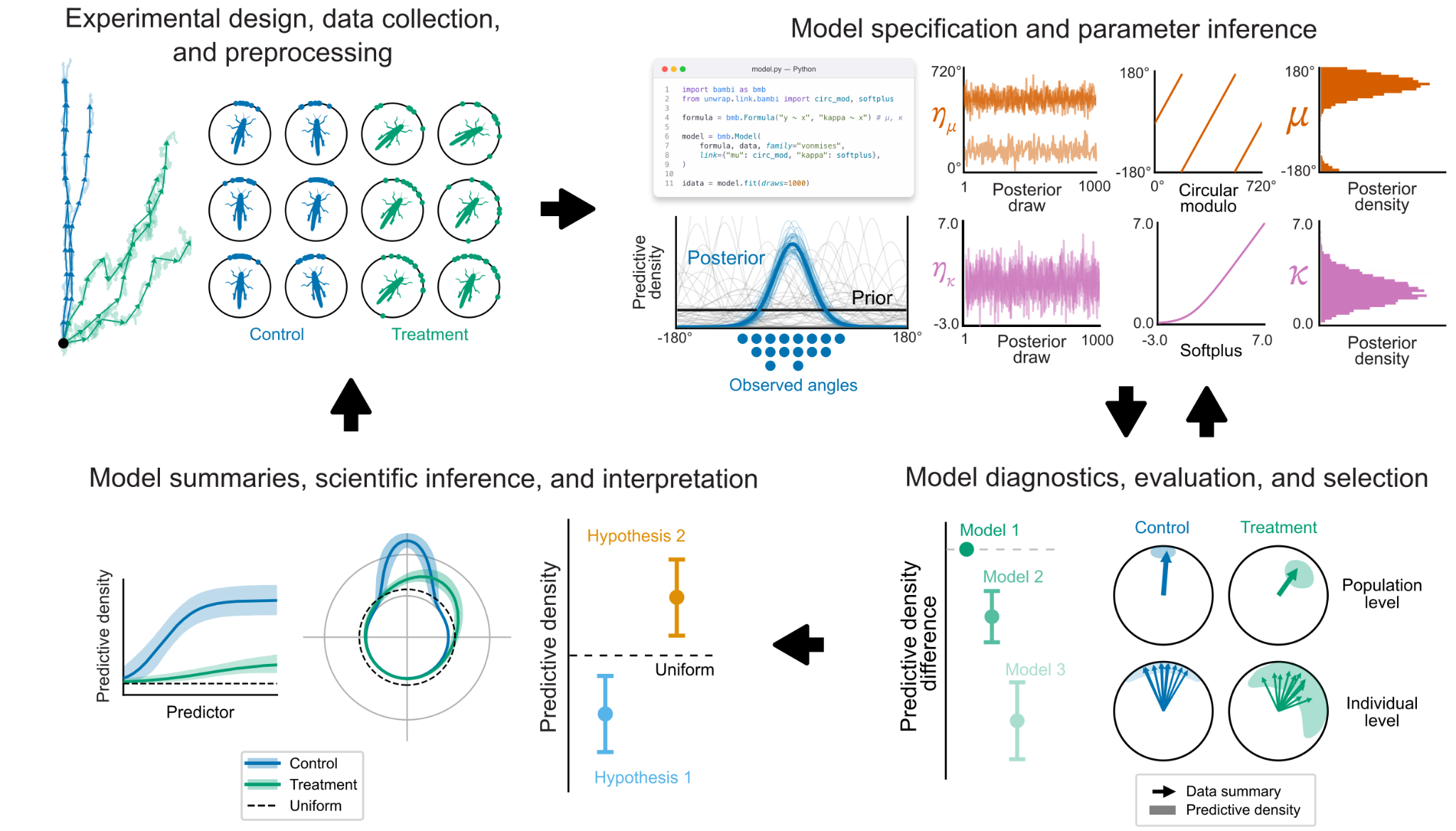 Animal tracks, circular distributions, and Bayesian model summaries.