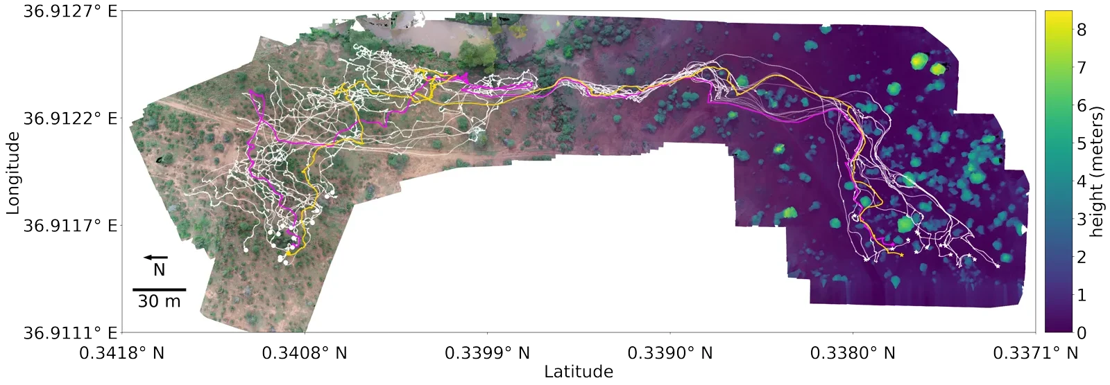 Animal trajectories over a reconstructed map of terrain height
